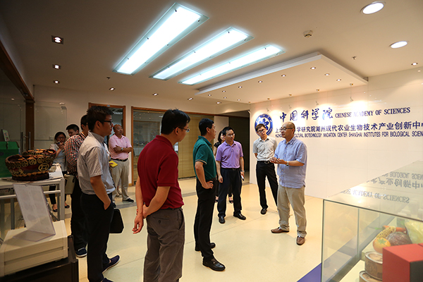 IMG_3393-600宽.jpg